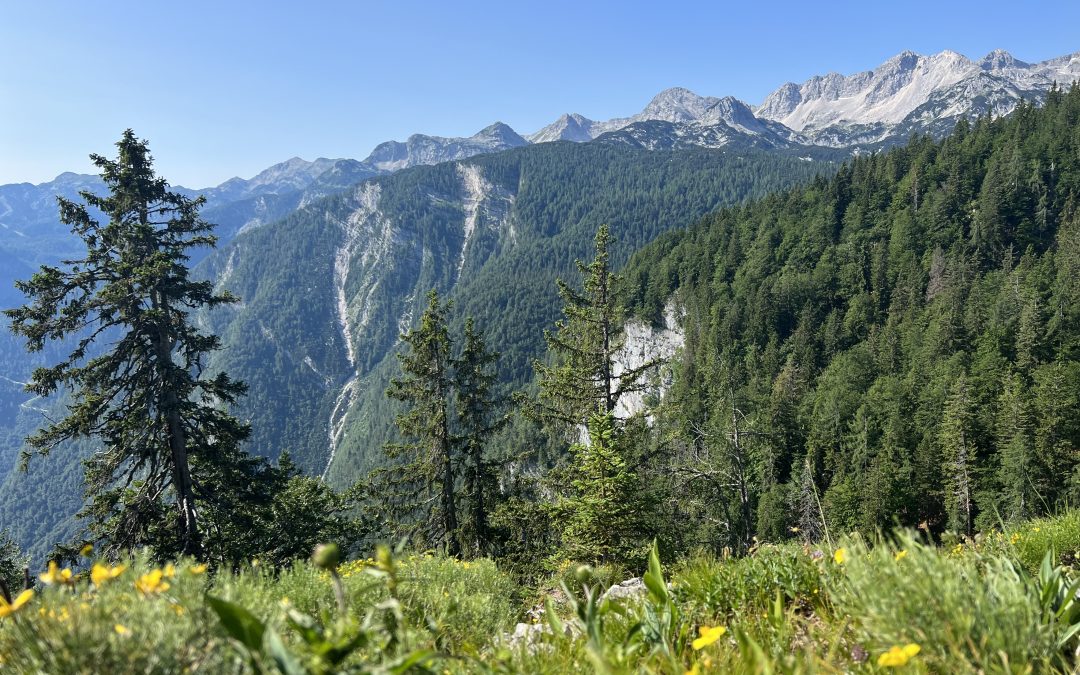 Planinski tabor na Kočo pod Bogatinom